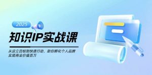 知识IP实战课，从设立目标到快速行动，助你孵化个人品牌，实现商业价值百万-天娱网创