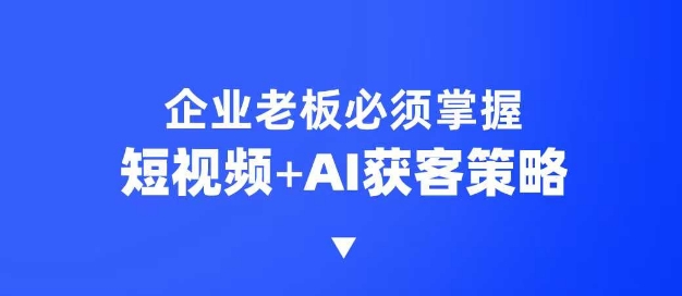 企业短视频AI获客霸屏流量课，6步短视频+AI突围法，3大霸屏抢客策略-天娱网创