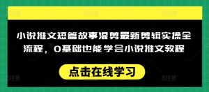 小说推文短篇故事混剪最新剪辑实操全流程，0基础也能学会小说推文教程，肯干多发日入多张-天娱网创