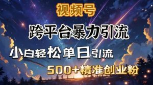 跨平台暴力引流，私域完美闭环，日引500+精准创业粉-天娱网创