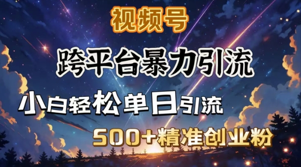 跨平台暴力引流,私域完美闭环,日引500+精准创业粉-天娱网创