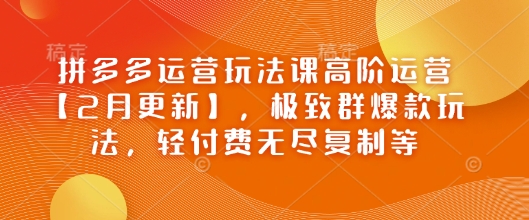 拼多多运营玩法课高阶运营【2月更新】,极致群爆款玩法,轻付费无尽复制等-天娱网创
