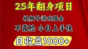一天收益1000+ 25年开年落地好项目-天娱网创