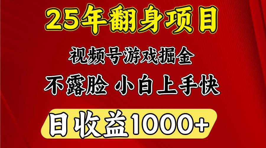 一天收益1000+ 25年开年落地好项目-天娱网创