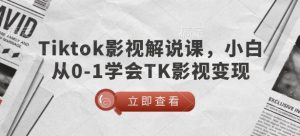 TikTok影视解说课，小白从0-1学会TK影视变现-天娱网创