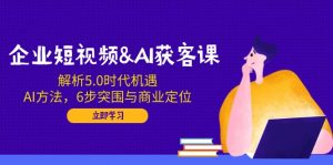 企业短视频&AI获客课：解析5.0时代机遇，AI方法，6步突围与商业定位-天娱网创