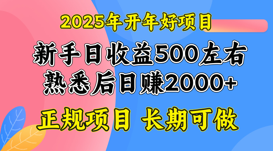 2025开年好项目，单号日收益2000左右-天娱网创