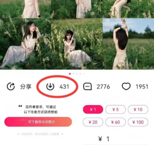 最新图虫搬运项目，收益无上限，利用AI小白也可日赚500+-天娱网创