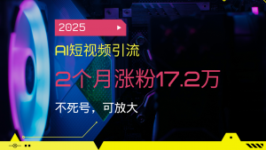 2025AI短视频引流，2个月涨粉17.2万，不死号，可放大-天娱网创