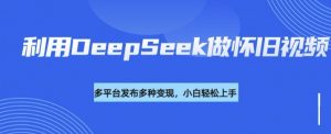 利用DeepSeek做怀旧视频，流量号多渠道变现能力强-天娱网创