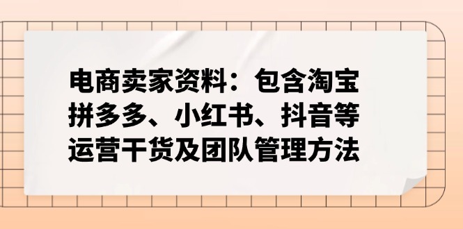 电商卖家资料：包含淘宝、拼多多、小红书、抖音等运营干货及团队管理方法-天娱网创