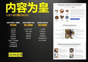 刘老师·外贸询盘增长秘籍从0到1的实战指南-天娱网创