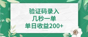 验证码录入，几秒一单，单日收益200+-天娱网创