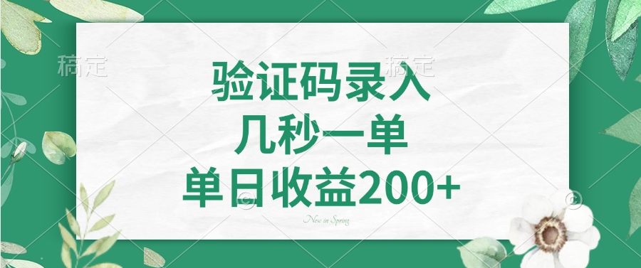 验证码录入，几秒一单，单日收益200+-天娱网创