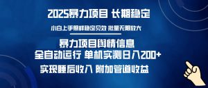 暴力项目舆情信息：多平台全自动运行 单机日入200+ 实现睡后收入-天娱网创