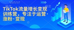 TikTok流量增长变现训练营，专注于运营·涨粉·变现-天娱网创