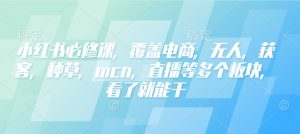 小红书必修课，覆盖电商，无人，获客，种草，mcn，直播等多个板块，看了就能干-天娱网创