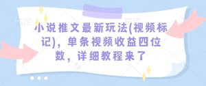 小说推文最新玩法(视频标记)，单条视频收益四位数，详细教程来了-天娱网创