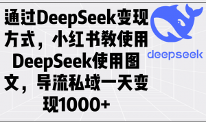 通过DeepSeek变现方式，小红书教使用DeepSeek图文，导流私域一天变现1000+-天娱网创