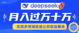 用DeepSeek席卷各大平台，快速上手实现多领域，让你收入猛增-天娱网创
