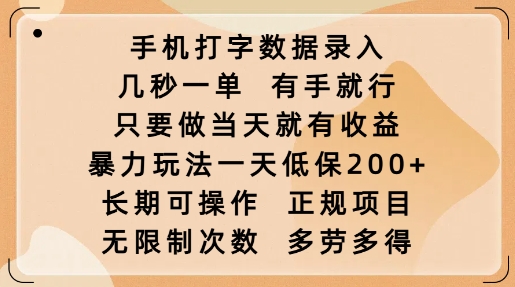 手机打字数据录入,几秒一单,有手就行,只要做当天就有收益,暴力玩法一天低保2张-天娱网创
