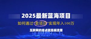 2025最新蓝海项目，零门槛轻松复制，月入10万+，新手也能操作！-天娱网创