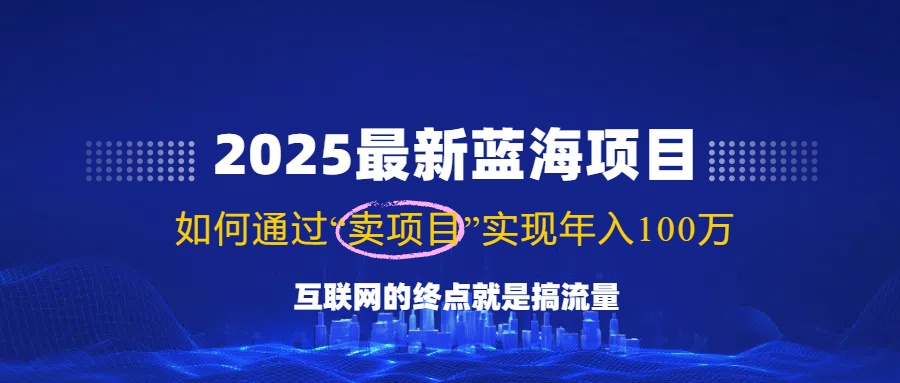 2025最新蓝海项目，零门槛轻松复制，月入10万+，新手也能操作！-天娱网创