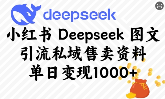 小红书Deepseek图文引流私域售卖资料,单日变现多张-天娱网创