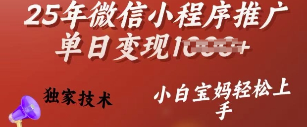 25年微信小程序推广单日变现多张，独家技术，小白宝妈轻松上手【揭秘】-天娱网创