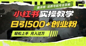 2月小红书最新日引500+创业粉实操教学【超详细】小白轻松上手，月入1W+，附小红书养号起号SOP-天娱网创