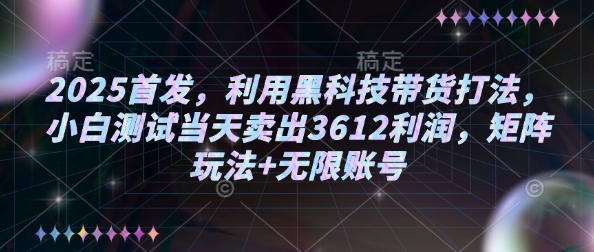 2025首发，利用黑科技带货打法，小白测试当天卖出3612利润，矩阵玩法+无限账号【揭秘】-天娱网创