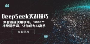 DeepSeek实战技巧：集合最强使用攻略，1000个神级提示词，让你成为AI高手-天娱网创