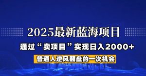 2025年蓝海项目，如何通过“网创项目”日入2000+-天娱网创