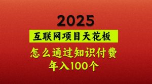 2025项目天花板，普通怎么通过知识付费翻身，年入百个【揭秘】-天娱网创