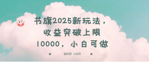 书旗2025新玩法，收益突破上限10000，小白可做-天娱网创