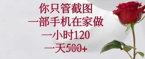 你只管截图，一部手机在家做，一小时120.一天5张【揭秘】-天娱网创