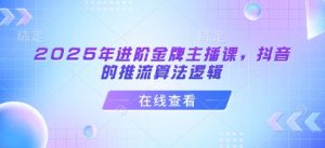 2025年进阶金牌主播课，抖音的推流算法逻辑-天娱网创
