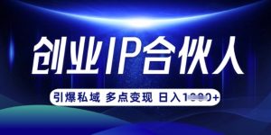 云帆·创业ip合伙人打造3.0，从0到1教你做网创，实现月入过W-天娱网创