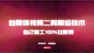 详细教你自媒体视频二剪搬运技术，自己加工100%过原创，无脑搬运-天娱网创
