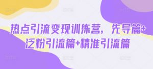 热点引流变现训练营，先导篇+泛粉引流篇+精准引流篇-天娱网创
