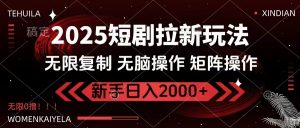2025短剧拉新玩法，无需注册登录，无限0撸，无脑批量操作日入2000+-天娱网创