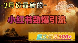 小红书超劲爆引流手段，图文日引300+轻松变现1W-天娱网创