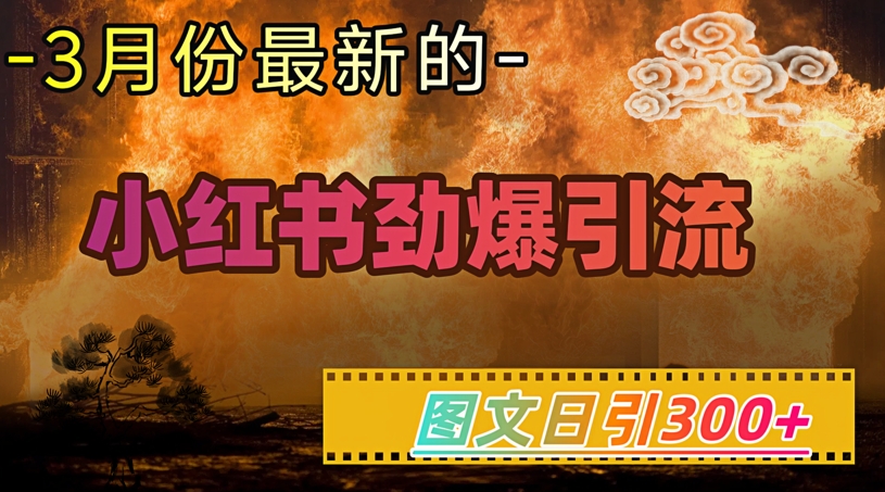 小红书超劲爆引流手段,图文日引300+轻松变现1W-天娱网创