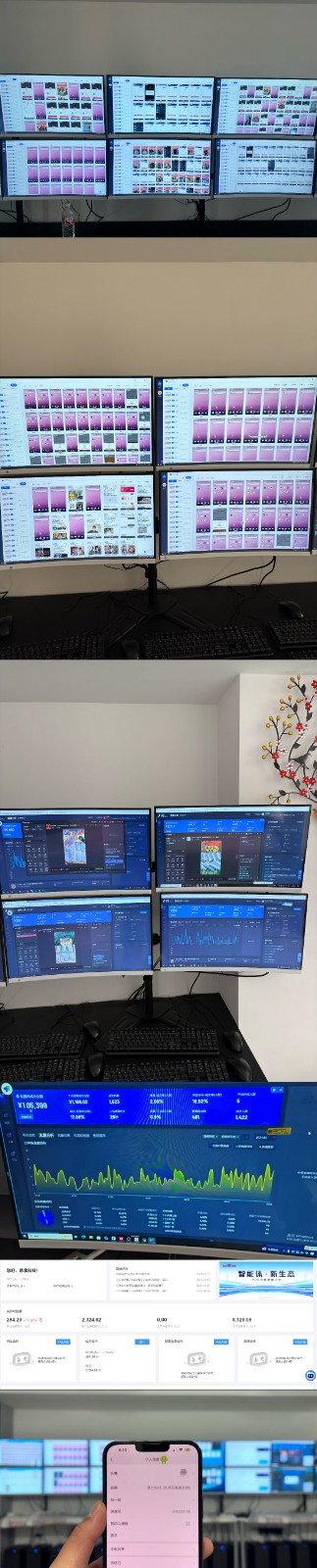 实操项目合集 挂机类型 直播类型 轻资产创业类型 课程分享各项目介绍和原理-天娱网创