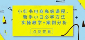 小红书电商高级课程，新手小白必学方法，实操教学+案例分析-天娱网创