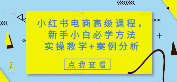 小红书电商高级课程,新手小白必学方法,实操教学+案例分析-天娱网创