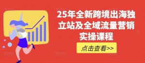 25年全新跨境出海独立站及全域流量营销实操课程，跨境电商独立站TIKTOK全域营销普货特货玩法大全-天娱网创