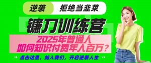 镰刀训练营超级IP合伙人，25年普通人如何通过“知识付费”实现逆袭-天娱网创