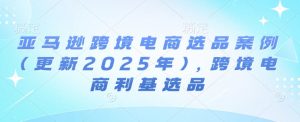 亚马逊跨境电商选品案例(更新2025年3月)，跨境电商利基选品-天娱网创