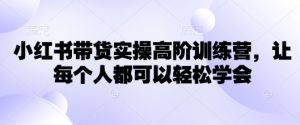 小红书带货实操高阶训练营，让每个人都可以轻松学会-天娱网创
